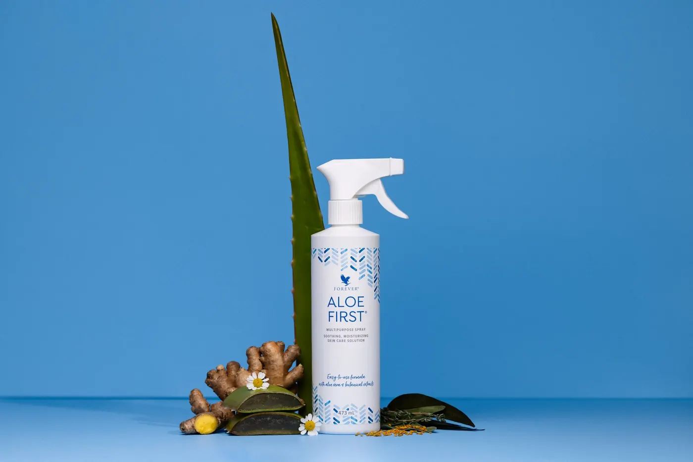 Aloe First – Bild 1