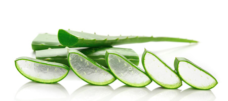 Verwendung der Aloe Vera - das Aloe Vera Gel